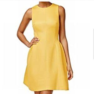 Calvin Klein Women's Fit and Flare Dress, Size 10, Color-Daisy